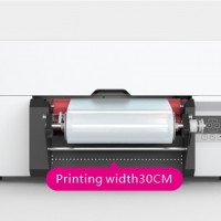 UV DTF Machine 30cm i3200*1