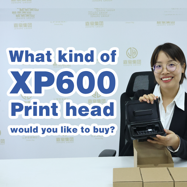 What kind of Epson XP600 Printhead Would Like to Buy?